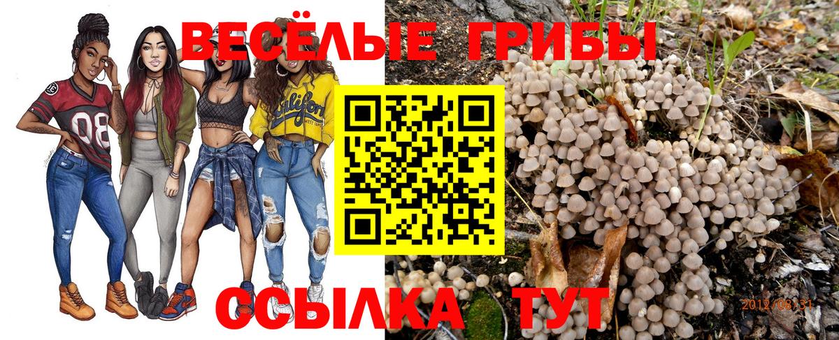 Cocaine  МАРИХУАНА  Вход с VPN  АМФ кристаллы  Меф МЯУ МЯУ кристаллы  Шадринск  ГАШ 